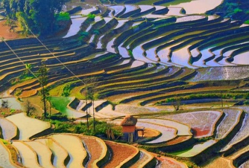 元阳哈尼梯田景区